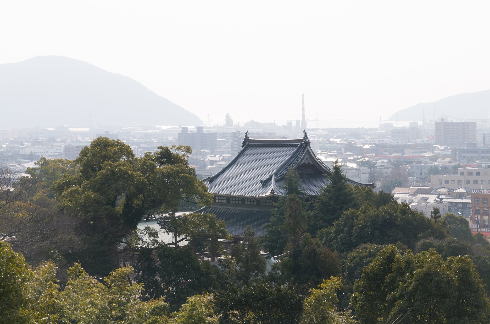 靄