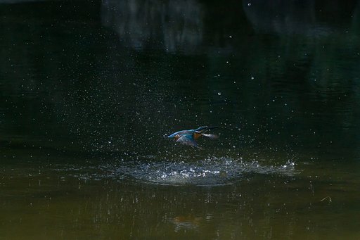 飛沫