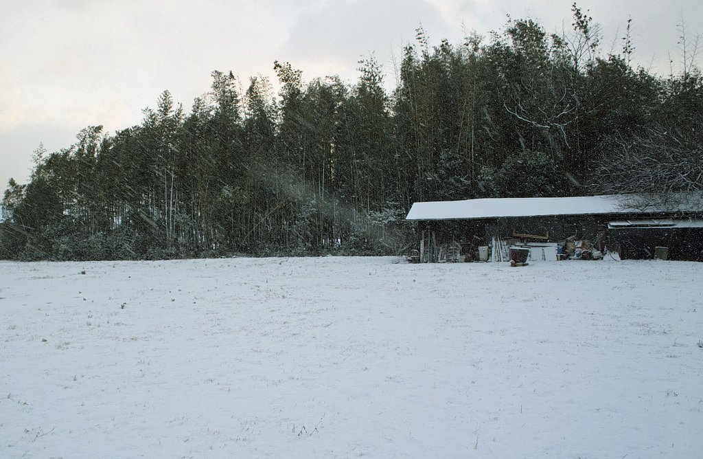 【刹那】　雪・はかなく消える美しさ