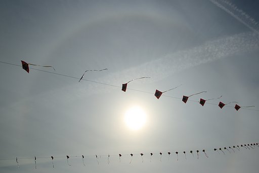 連ダコ！　日輪