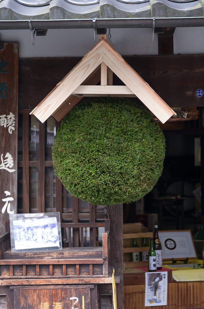 杉玉