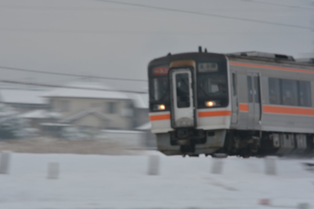 雪の中を疾走