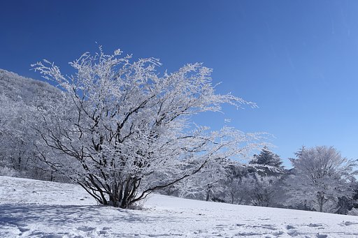 初撮り　茶臼山
