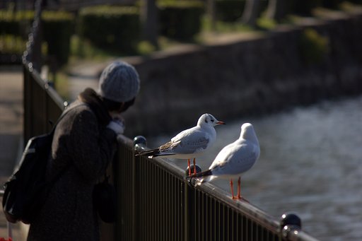 仲良し
