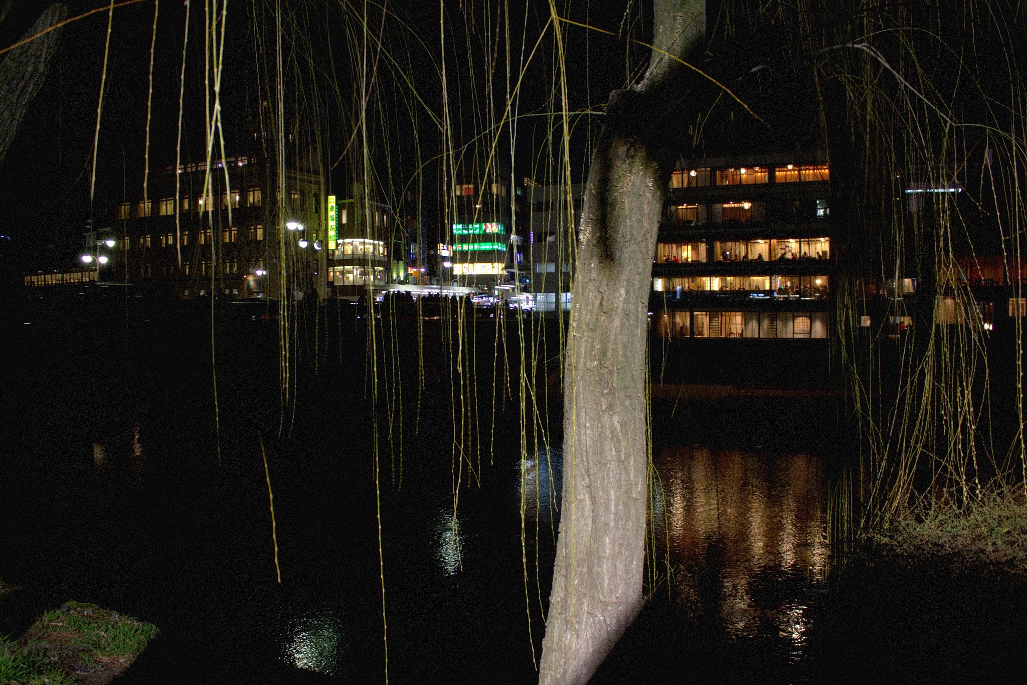 鴨川夜景　２