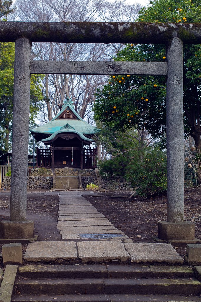 SUMMILUX-M 1.4/50 ASPH
