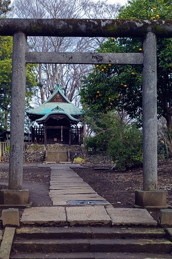 SUMMILUX-M 1.4/50 ASPH