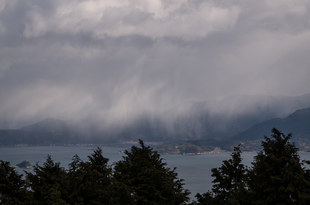 霙