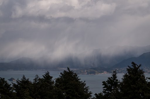 霙
