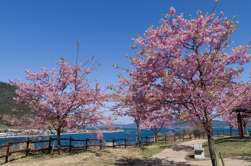 島の空