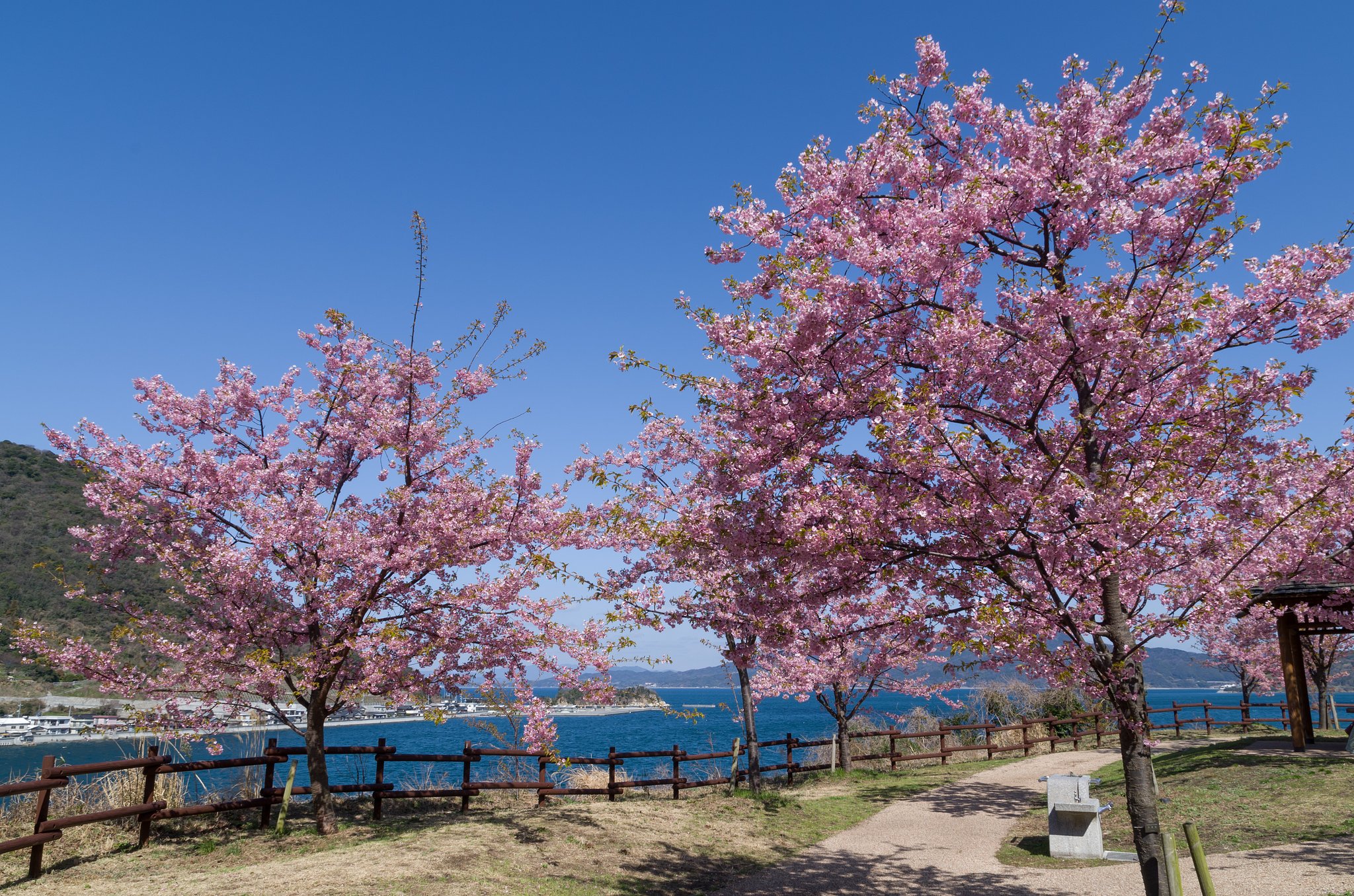 島の空