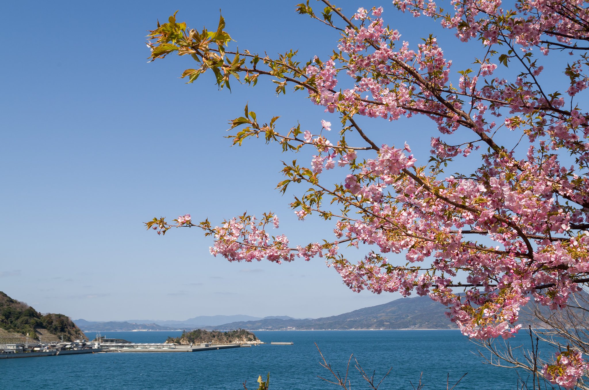 潮風