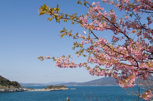 潮風