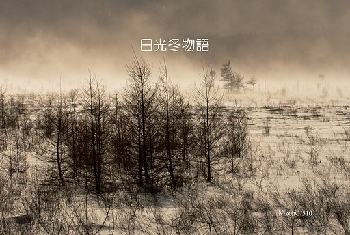 日光冬物語Ⅲ