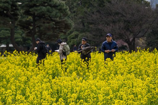 彩りを堪能