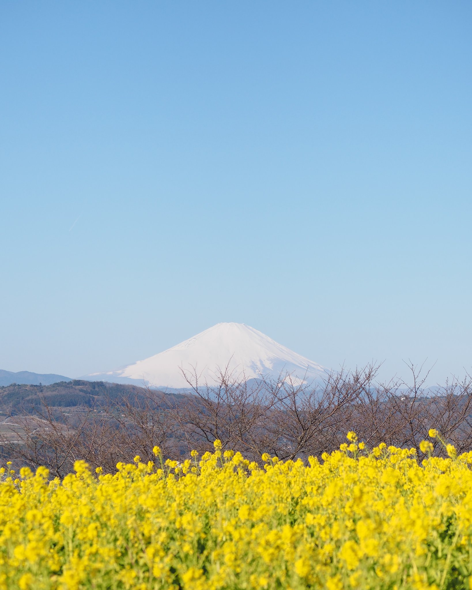 春の汀