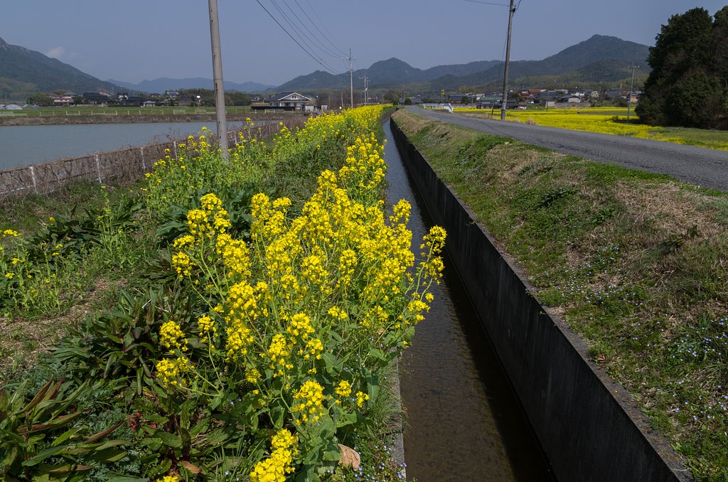 用水路