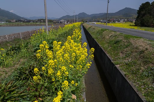用水路
