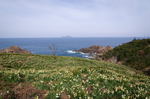 日本海