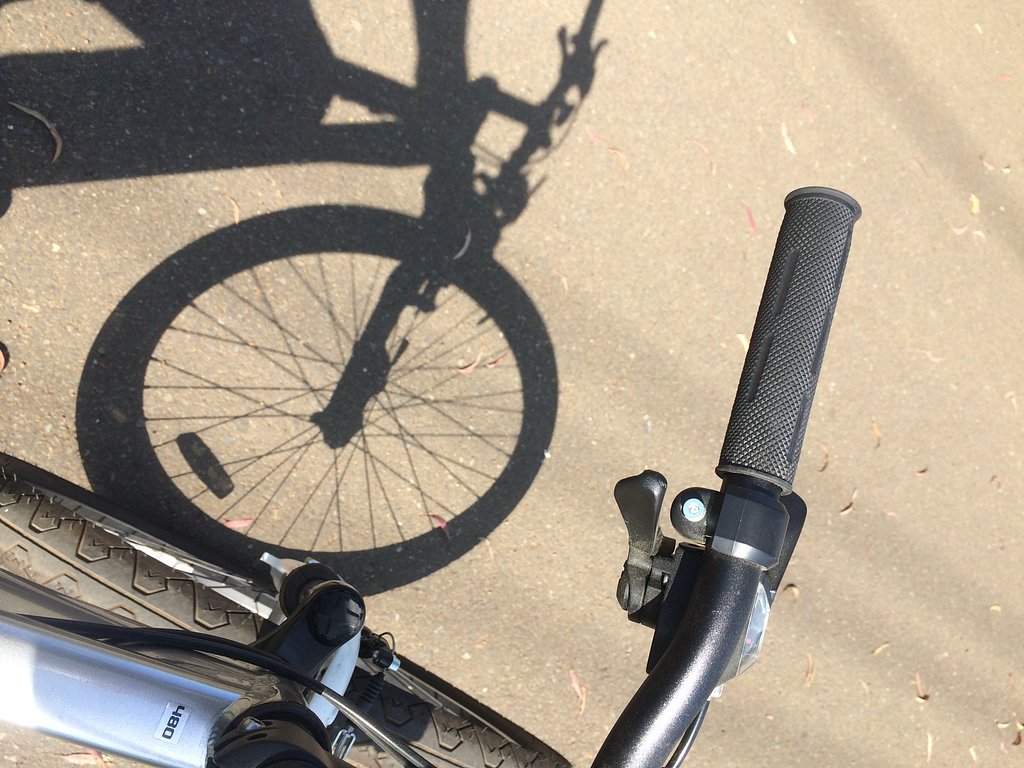 癒やし求めて