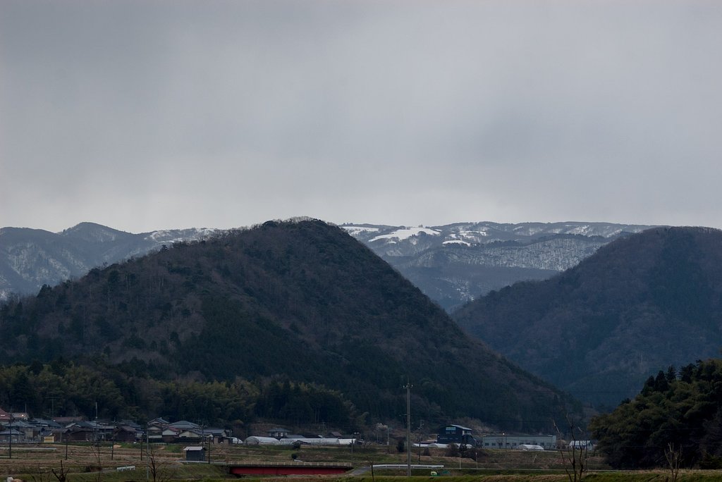 雪がチラチラ!