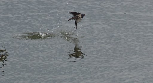 何故行水するのでしょか