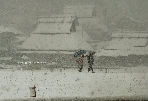 白銀散歩