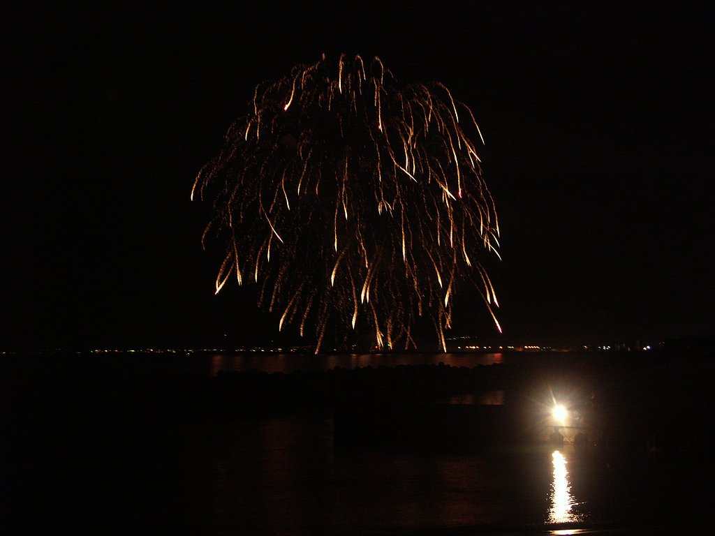 夜の海辺で