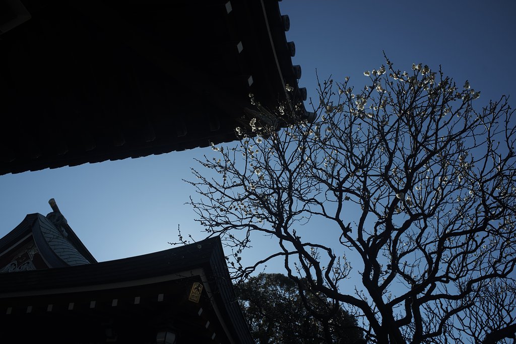 Distagon 1:2.8 f=25mm
