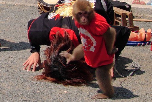 【顔】（面）さげんかい！！