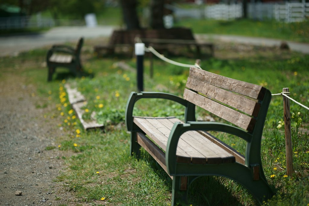 Otus 85mm F1.4 ZF2