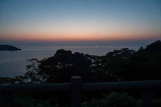 白イカ取り!