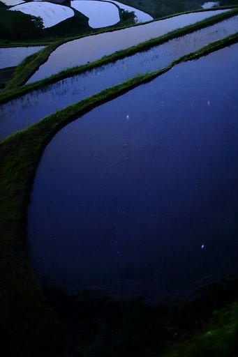 棚田の星映し