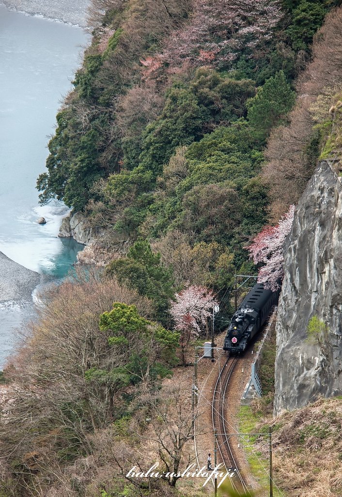 春の大井川鉄道