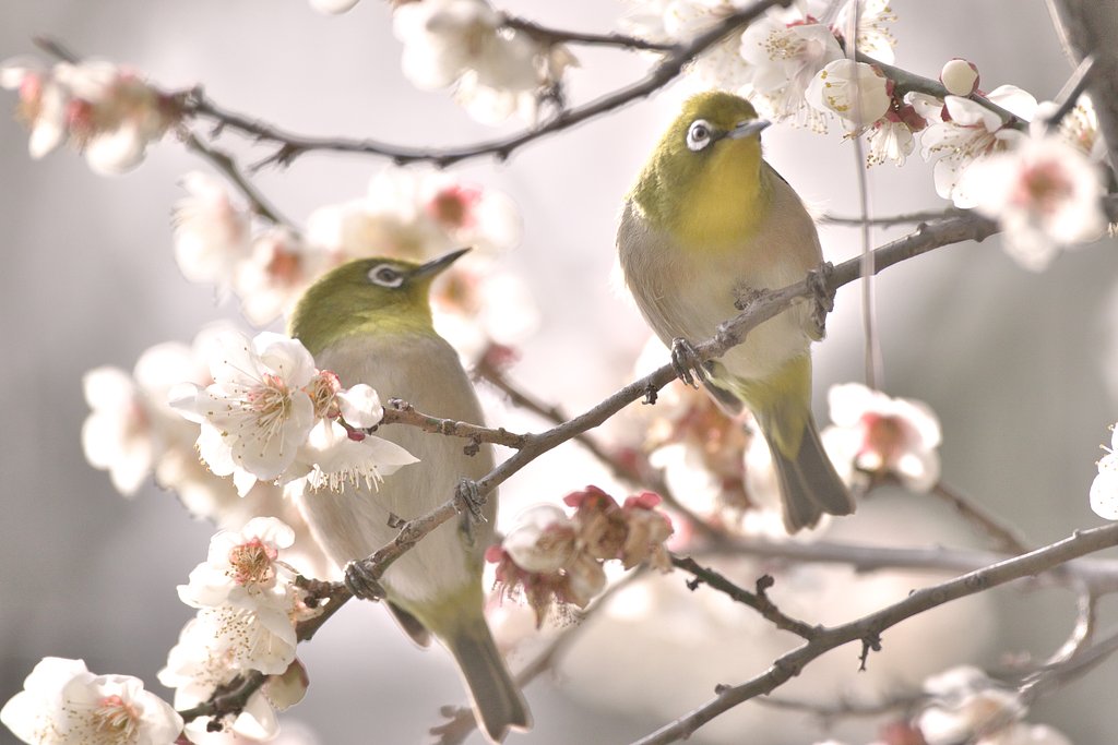 ♪君の横顔