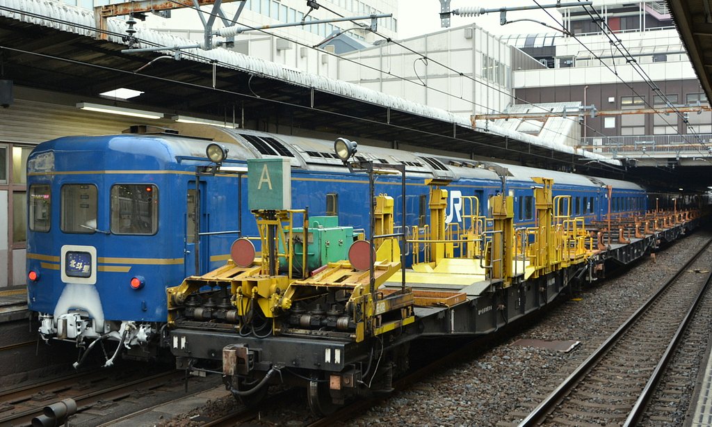 ブルートレインとレール運搬列車
