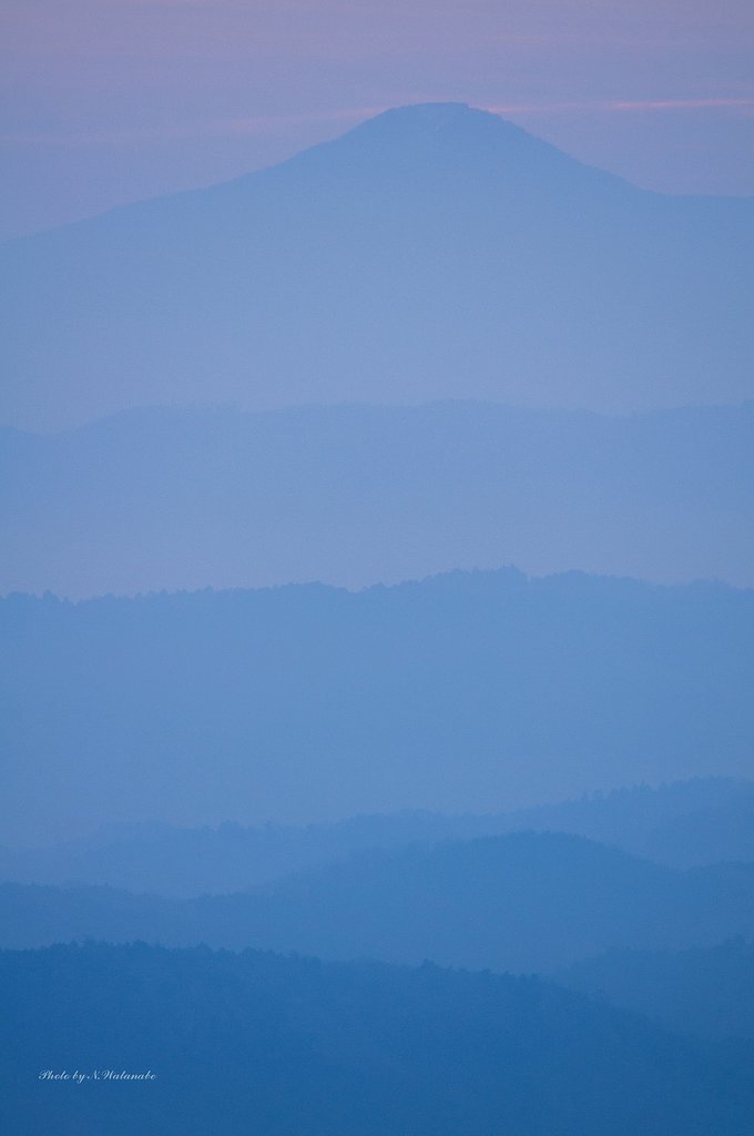 淡く・・