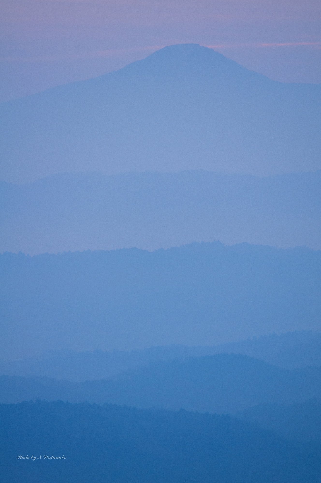 淡く・・