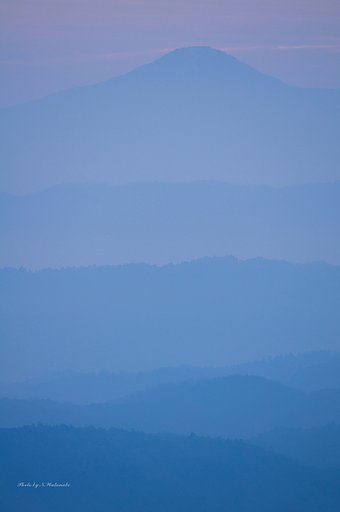 淡く・・