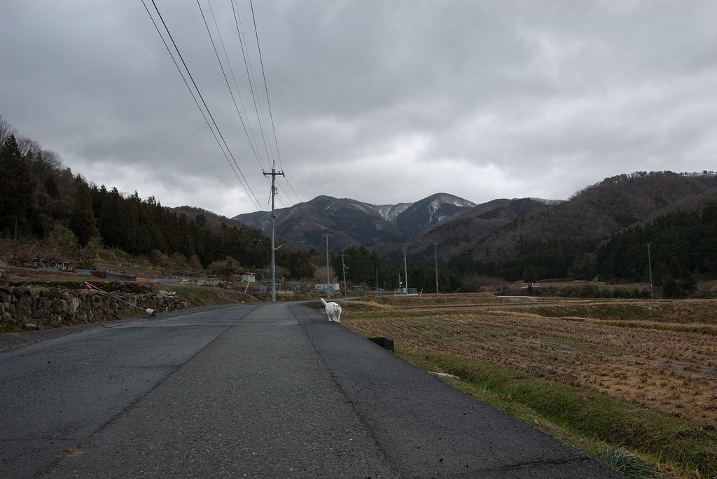 風が強い朝の東の景色。