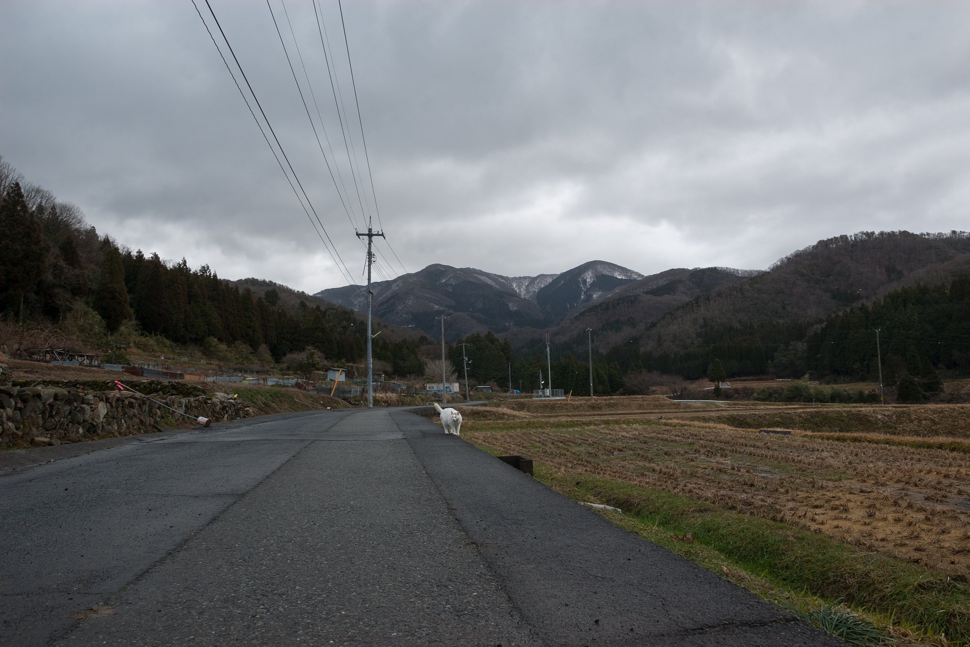 風が強い朝の東の景色。