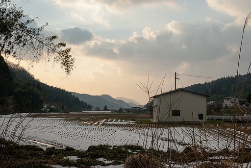 夕焼けが見られました・・。