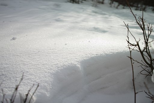 綿向山