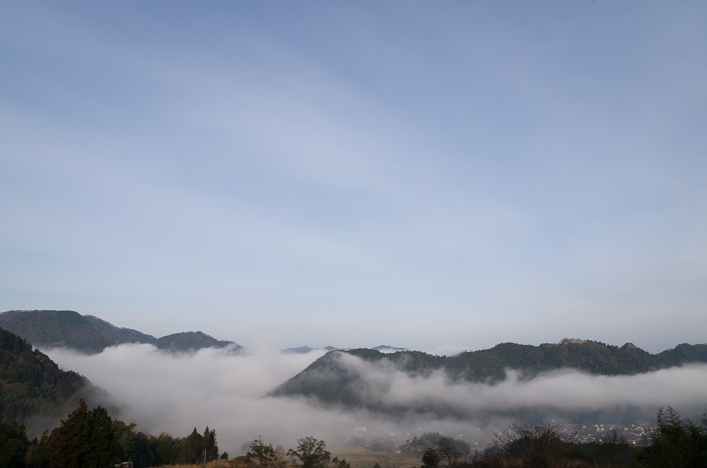 朝霧