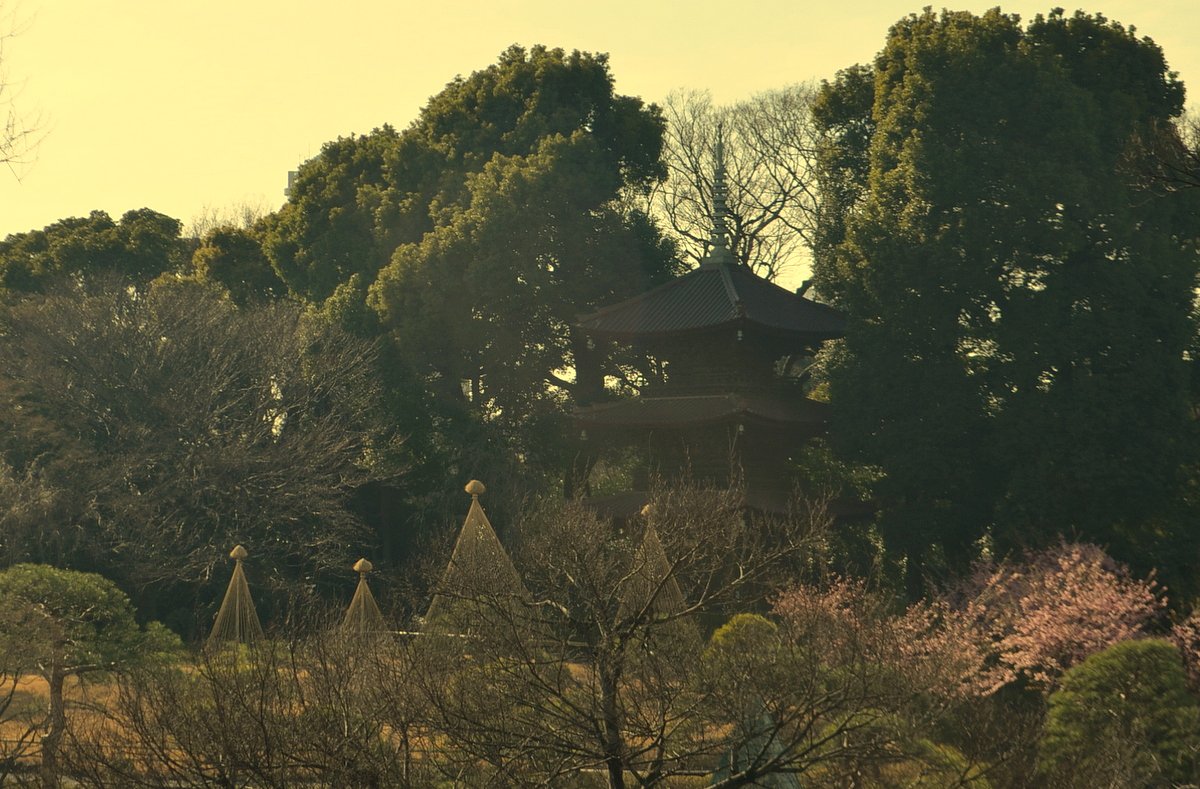 都心の庭園風景