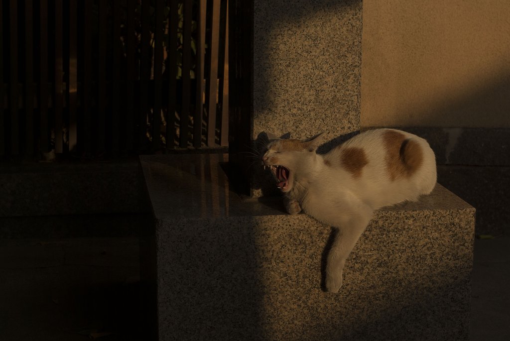 寺の門番