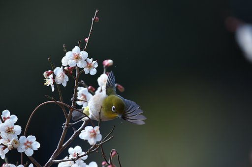 開閉不足