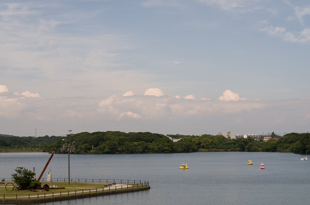 雲