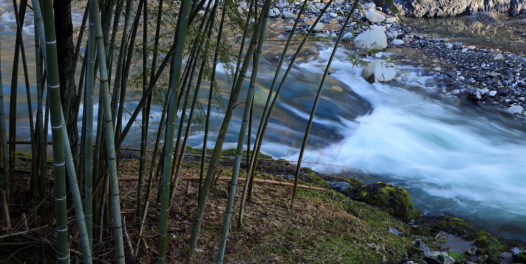 竹林と清流粕川