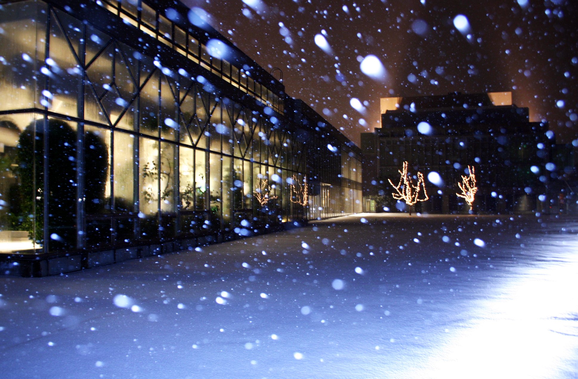 雪降る夜